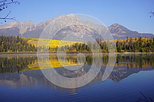 Patricia Lake in Jasper national Park in autumn season