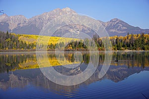 Patricia Lake in Jasper national Park in autumn season