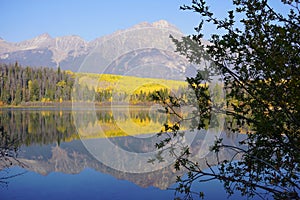 Patricia Lake in Jasper national Park in autumn season