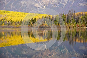 Patricia Lake in Jasper national Park in autumn season