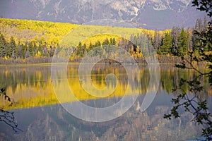 Patricia Lake in Jasper national Park in autumn season