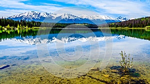 Patricia Lake with reflections of the snow capped peaks of the Rocky Mountains in Jasper National Park