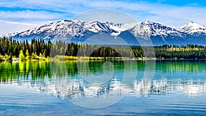 Patricia Lake with reflections of the snow capped peaks of the Rocky Mountains in Jasper National Park