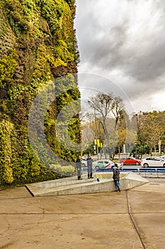 Patrick Blanc Vertical Garden Wall