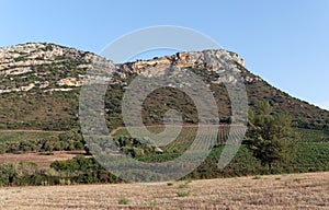 Patrimonio hills in Corsica island photo