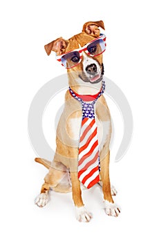 Patriotic American Dog Wearing Tie and Glasses