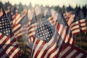 Patriotic display of american flags