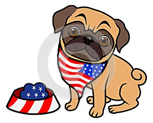 Patriotic dog cute pug with dog food