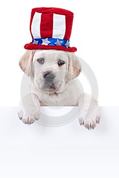 Patriotic Dog Sign