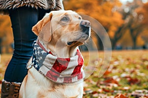 Patriotic dog stands next to woman outdoors