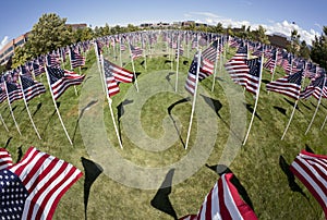 Patriotic Flag Display