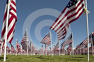 Patriotic Flag Display