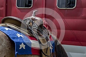 Patriotic saddle
