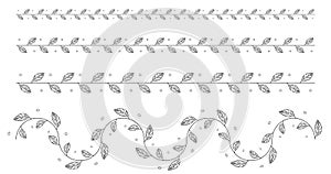 Black Leafs and brachnes isolated set