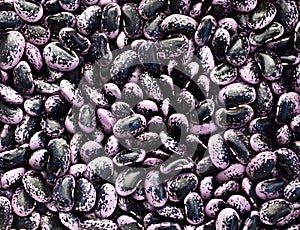 Patterened haricot, black and purple kidney beans background texture