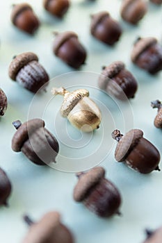 Pattern of acorns on natural green background with one golden acorn in the middle