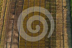 Pattern of agriculture fields aerial view