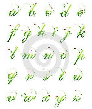 Modello l'alfabeto foglie un setto di coccinella 