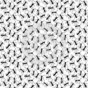 Pattern with ants