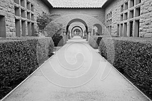 Pattern of arches. black & white.