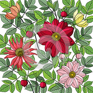Pattern of autumn flowers and leaves: dahlia, zinnia. Hand drawn vector illustration