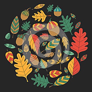 Pattern with autumn leaves Oak Mapple Acorn Linden