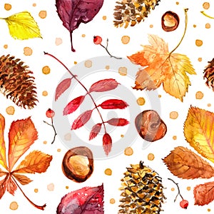 Pattern Autumn leaves watercolors Maple Leaf on white background. Coloured bright leaves hand-painted, paint, taktura