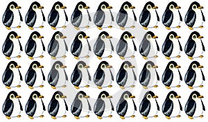 Pattern of baby penguins on a white background. Stylized children's illustration.