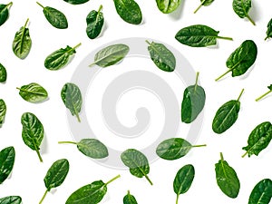 Pattern from baby spinach isolated