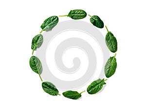Pattern from baby spinach in round frame 