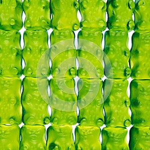 Pattern background close up candy bears colorful