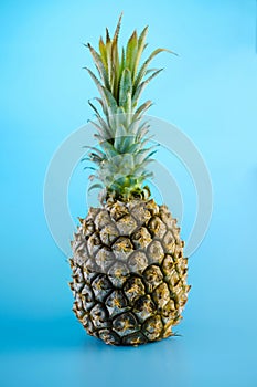 Isolate exotic pineapple on blue background