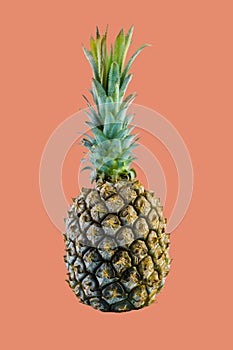 Isolate exotic pineapple on pink bacground