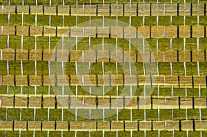 pattern of bamboo spokes which green and brown