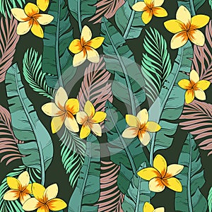 pattern of banana leaves and plumeria