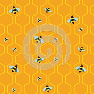 Pattern of the bee on honeycombs background