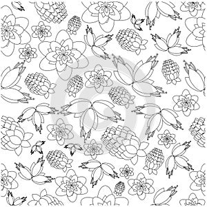 Pattern from berries and flowers