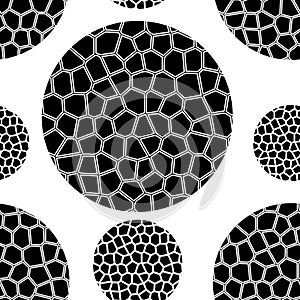 The pattern of black circles with white mosaic grid