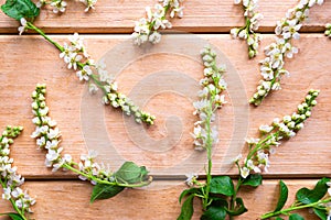 Pattern of blooming sping flowers on wooden background