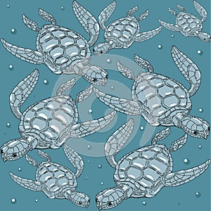 Sea turtles on the blue background