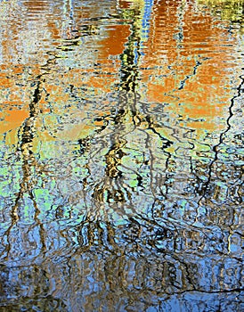 Pattern from branches tree reflected in water