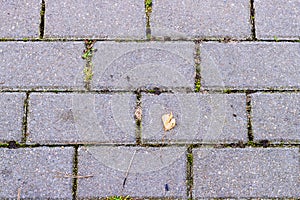 Pattern of brick block on walkway, triangle block is difference, zigzag blocks texture.