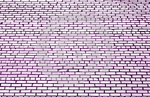 Pattern of brick wall with blur effect in purple tone