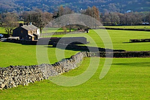 A pattern of bright green empty grazing fields with short grass