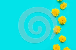 Pattern of bright yellow dandelions on green background. Summertime concept. photo