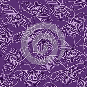 Seamless vector pattern with linear butterflies