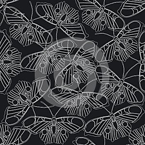 Seamless vector pattern with linear butterflies