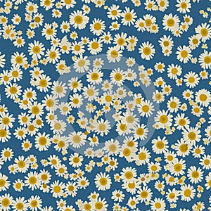 pattern with camomiles floral background floral pattern