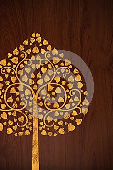 Pattern carve gold tree on wood texture photo