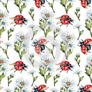 Pattern of chamomile buds and ladybugs in watercolor